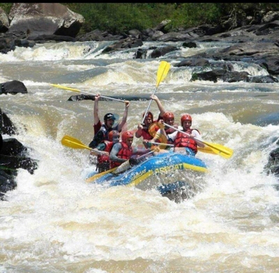 Fazenda-Sítio-Chácara, 214 m² - Foto 3