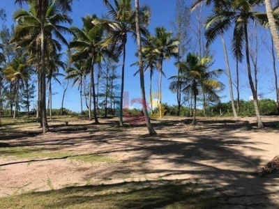 Sítio, 1 quarto, 9872 m² - Foto 2