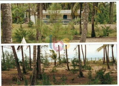 Sítio, 1 quarto, 9872 m² - Foto 4