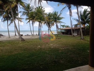 Sítio, 7 quartos, 7850 m² - Foto 4