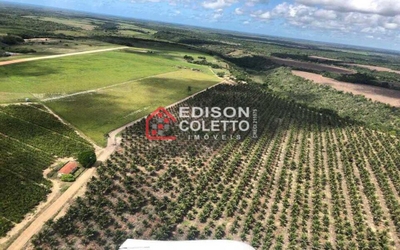 Fazenda-Sítio-Chácara, 600 hectares - Foto 1