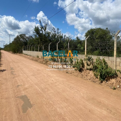 Chácara, 4 quartos, 1 hectares - Foto 2