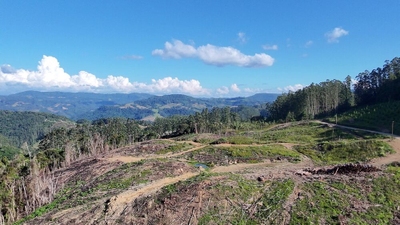Fazenda-Sítio-Chácara, 62 hectares - Foto 2