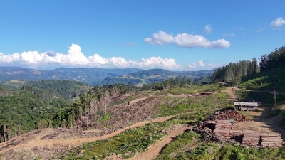Fazenda-Sítio-Chácara, 62 hectares - Foto 1