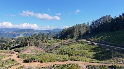 Fazenda-Sítio-Chácara, 62 hectares - Foto 3