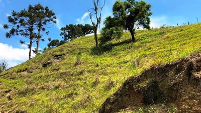 Sítio, 2 quartos, 4 hectares - Foto 5