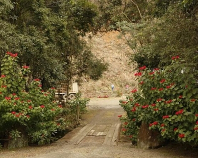 Fazenda, 7 hectares - Foto 3