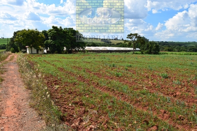 Sítio, 7 hectares - Foto 1