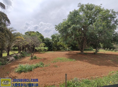 Sítio, 2 hectares - Foto 5