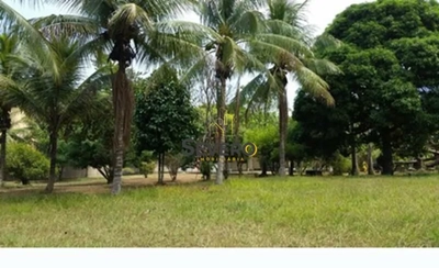 Sítio, 5 quartos, 4500 m² - Foto 3