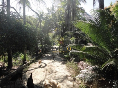 Sítio, 2 quartos, 9985 m² - Foto 4