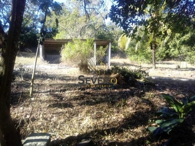 Sítio, 2 quartos, 9985 m² - Foto 1