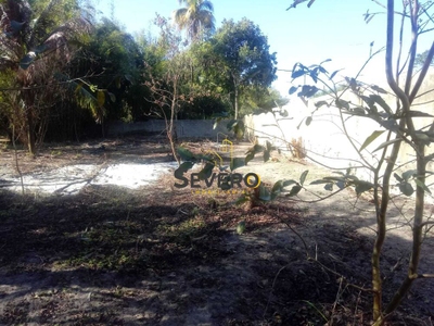 Sítio, 2 quartos, 9985 m² - Foto 5