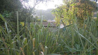 Terreno, 1356 m² - Foto 2