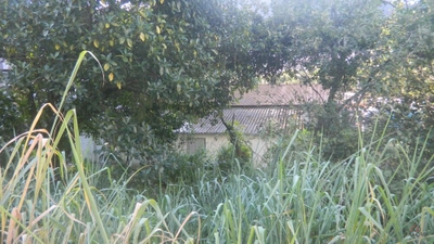 Terreno, 1356 m² - Foto 3