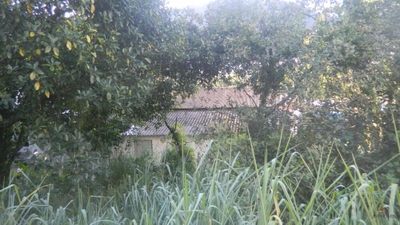 Terreno, 1356 m² - Foto 1