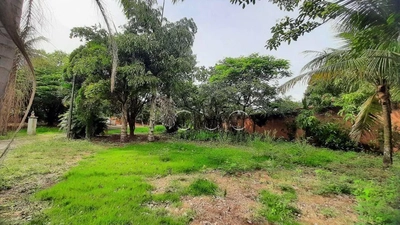 Chácara, 3 quartos, 5400 m² - Foto 2