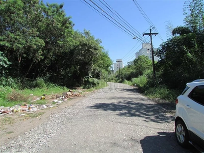 Terreno, 5 hectares - Foto 4