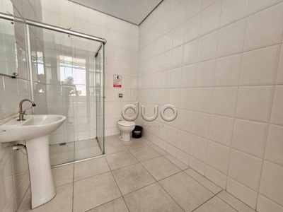 Loja-Salão, 1215 m² - Foto 3