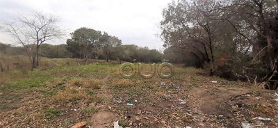 Terreno, 2 hectares - Foto 4