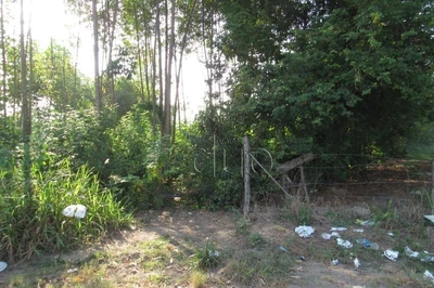 Terreno, 5 hectares - Foto 3