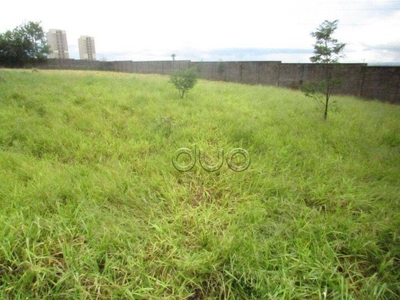 Terreno, 5000 m² - Foto 3