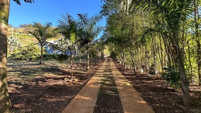 Chácara, 3 quartos, 3000 m² - Foto 2