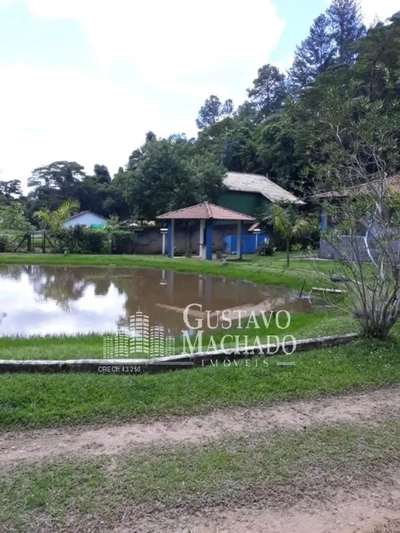 Sítio, 5 quartos, 4000 m² - Foto 3