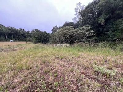 Terreno, 2 hectares - Foto 4