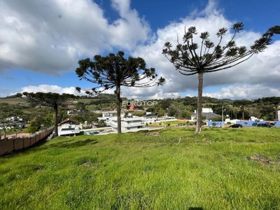 Terreno, 1216 m² - Foto 4