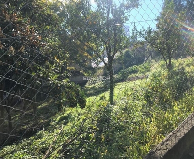 Terreno, 2624 m² - Foto 3