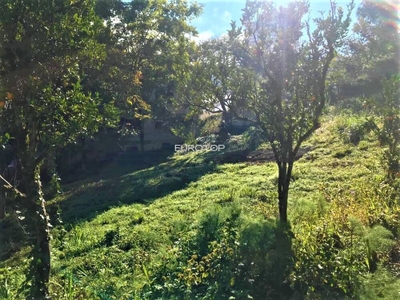 Terreno, 2624 m² - Foto 2