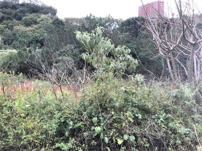 Terreno, 411 m² - Foto 5