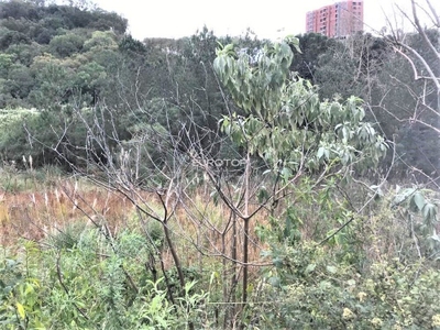 Terreno, 411 m² - Foto 3