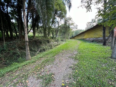 Sítio, 4 hectares - Foto 4