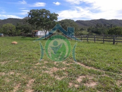 Fazenda-Sítio-Chácara - Foto 5