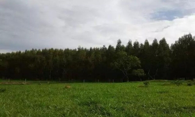 Fazenda-Sítio-Chácara - Foto 1