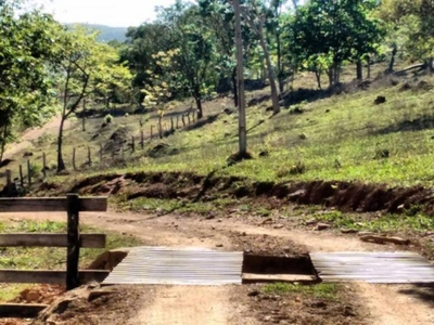 Fazenda-Sítio-Chácara - Foto 3