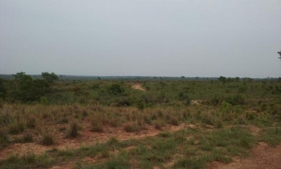 Fazenda-Sítio-Chácara - Foto 3