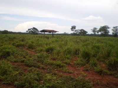 Fazenda-Sítio-Chácara, 1038 m² - Foto 3