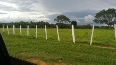 Fazenda-Sítio-Chácara - Foto 3