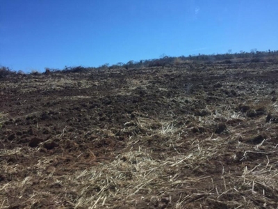 Fazenda-Sítio-Chácara, 930 hectares - Foto 1