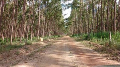 Fazenda-Sítio-Chácara, 250 m² - Foto 4