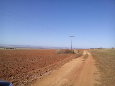 Fazenda-Sítio-Chácara, 250 m² - Foto 4