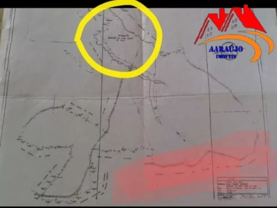 Fazenda-Sítio-Chácara, 88 hectares - Foto 4