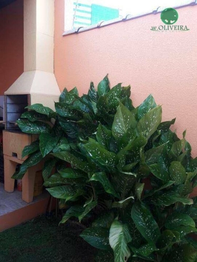 Casa, 3 quartos, 140 m² - Foto 4