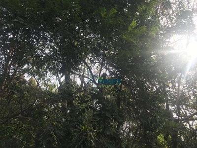 Terreno, 5094 m² - Foto 5