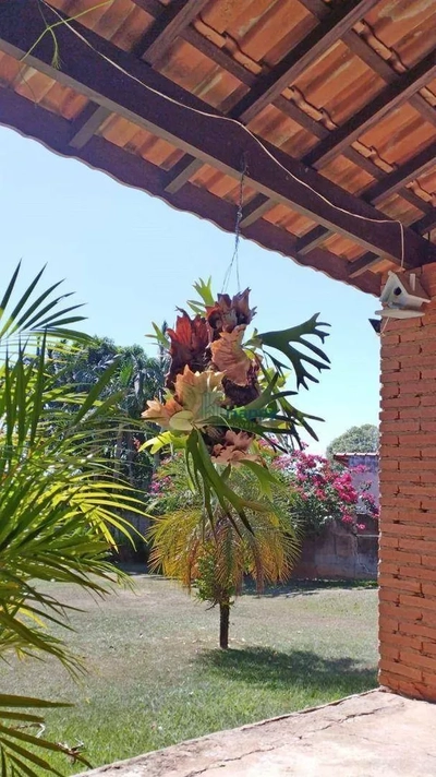 Chácara, 3 quartos, 1000 m² - Foto 3