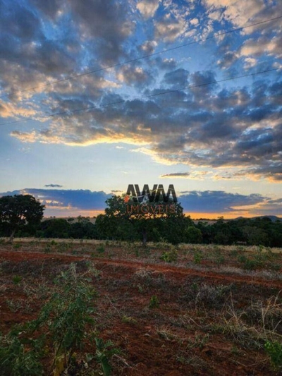 Fazenda-Sítio-Chácara, 329 hectares - Foto 1