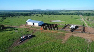 Fazenda, 6280 hectares - Foto 3